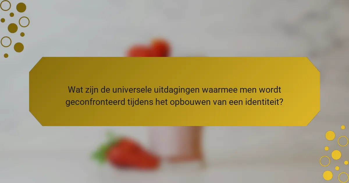 Wat zijn de universele uitdagingen waarmee men wordt geconfronteerd tijdens het opbouwen van een identiteit?